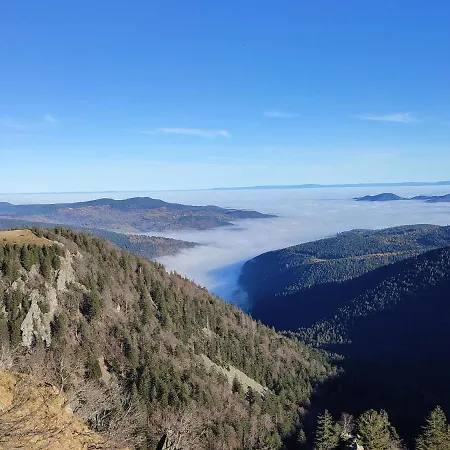 In Vosges With Sauna & Panoramic Views *