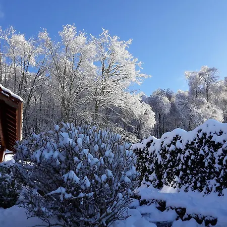 木屋 In Vosges With Sauna & Panoramic Views *