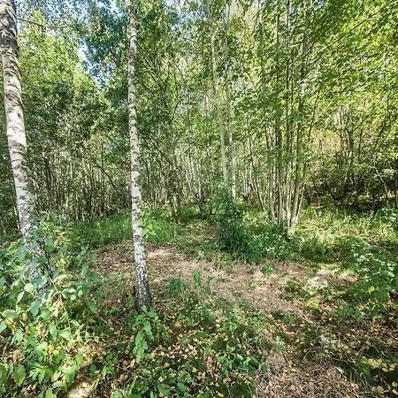 In Vosges With Sauna & Panoramic Views