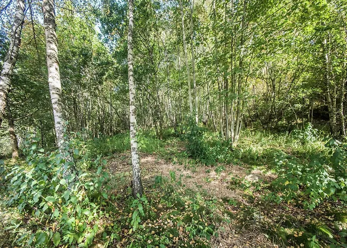 In Vosges With Sauna & Panoramic Views Anould