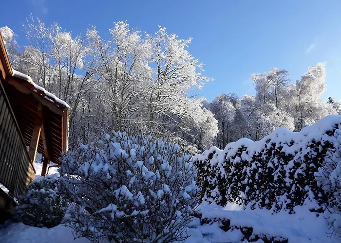 Шале In Vosges With Sauna & Panoramic Views *